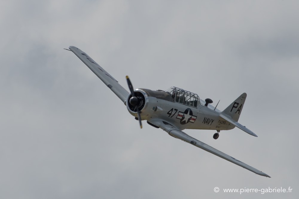 t6-d500__2533.jpg