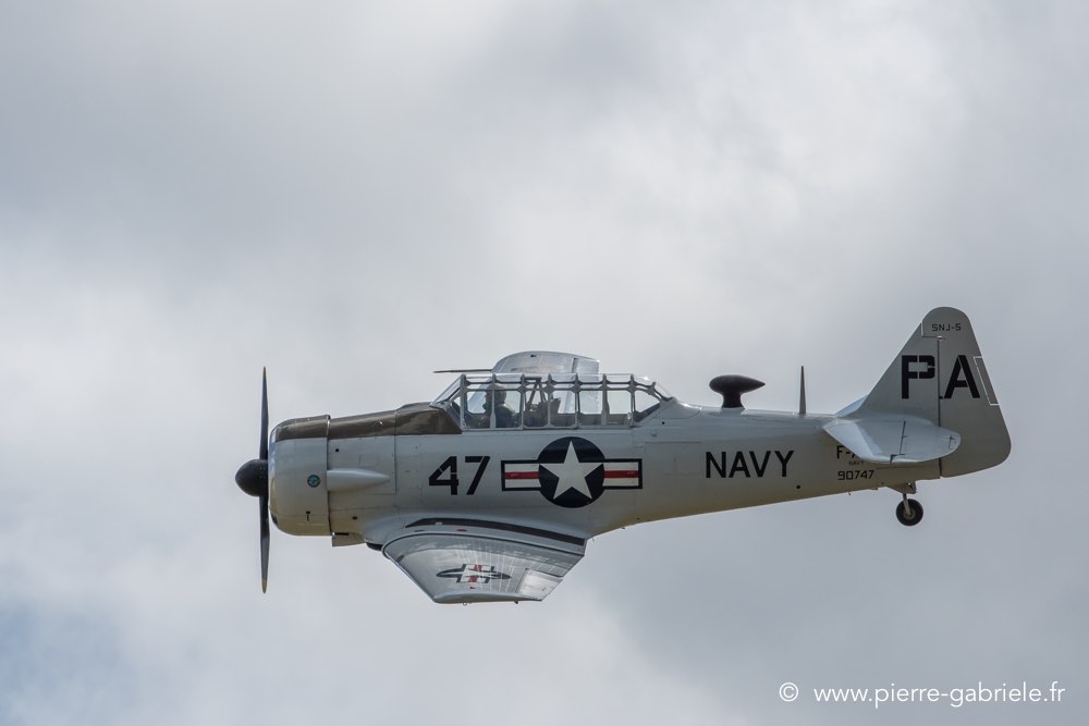 t6-d500__2536.jpg