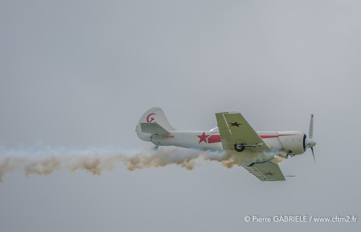 yak50-A7V_01047260.jpg