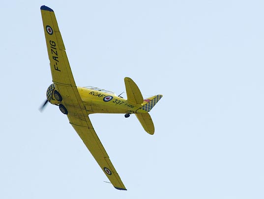 t6.jpg