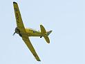 t6