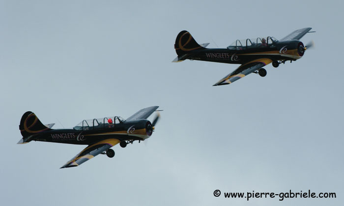 yak52_7041.jpg