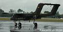bronco_6662