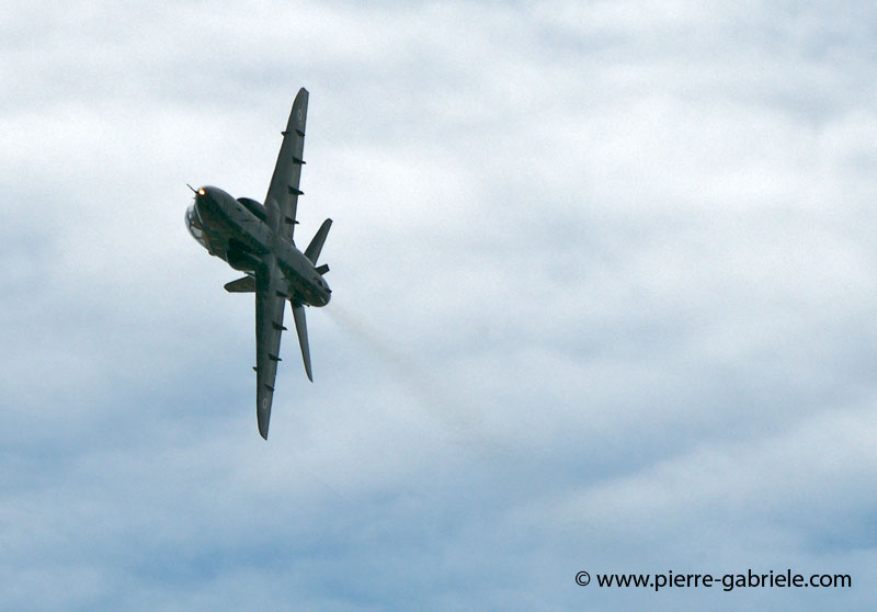 hawk_2023.jpg