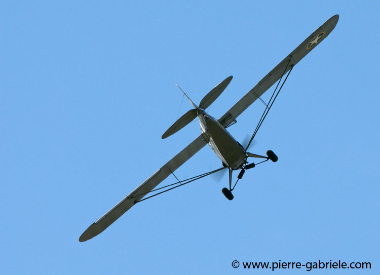 piper_1826.jpg