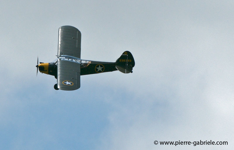 piper_1833.jpg