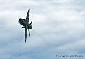 hawk_2023