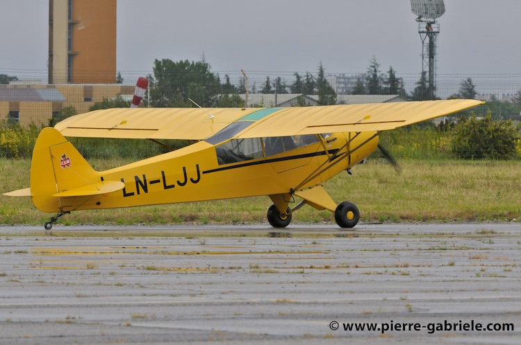 pipercub_3242.jpg