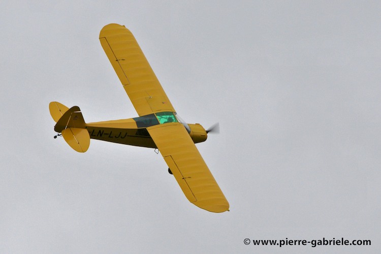 pipercub_3245.jpg