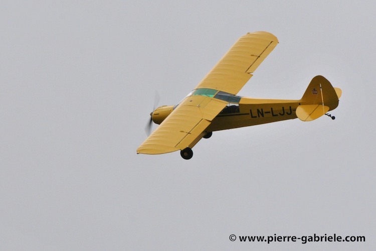 pipercub_3252.jpg