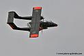 bronco_3347