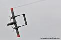 bronco_3352