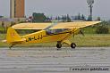 pipercub_3242