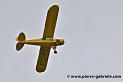 pipercub_3244