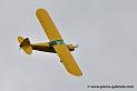 pipercub_3245