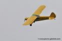 pipercub_3252