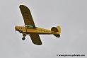 pipercub_3261
