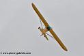 pipercub_3263