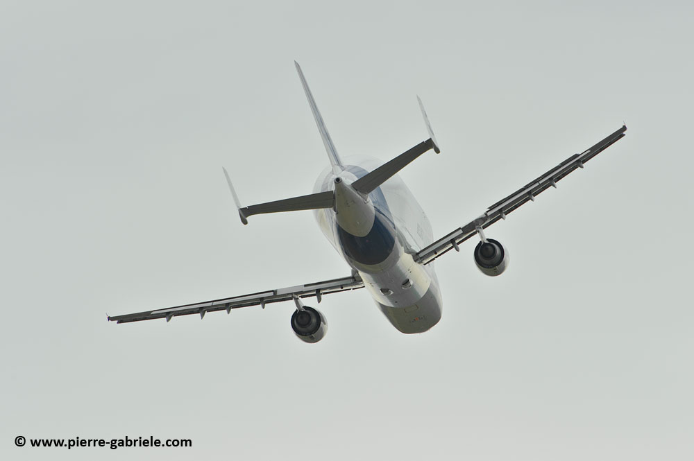 beluga_8466.jpg