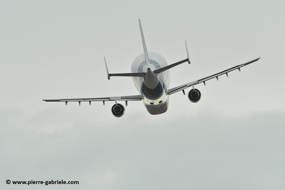 beluga_8467.jpg
