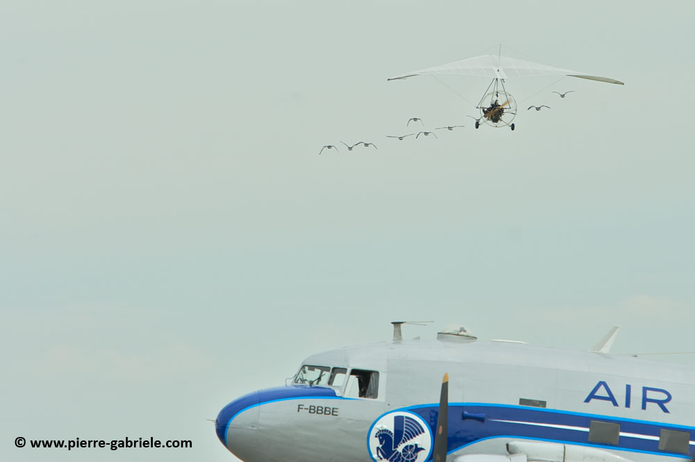 ulm+oies_8149.jpg