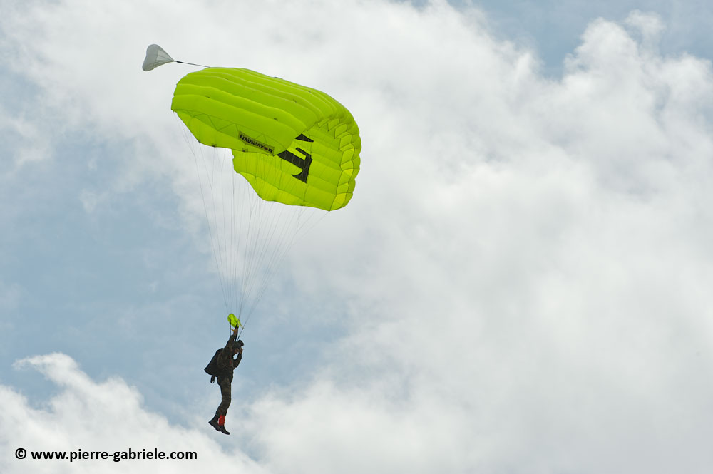 para+3rat_7803.jpg