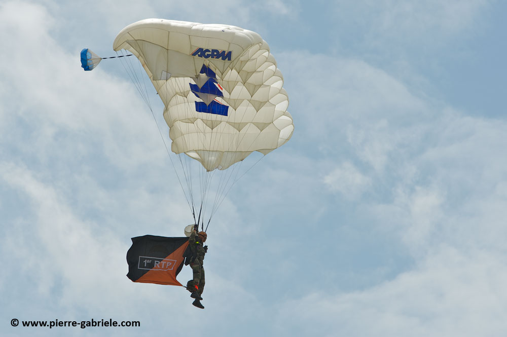 para+3rat_7805.jpg