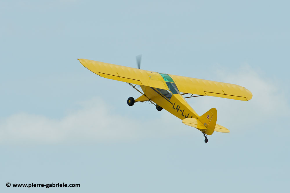 pipercub_8048.jpg