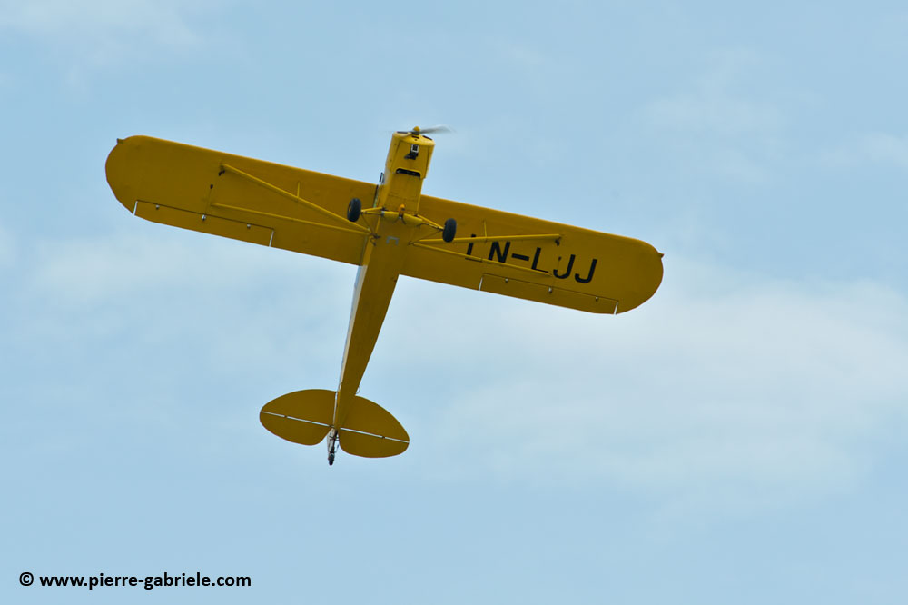 pipercub_8049.jpg