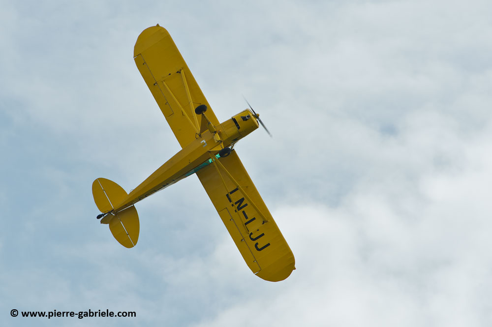 pipercub_8050.jpg