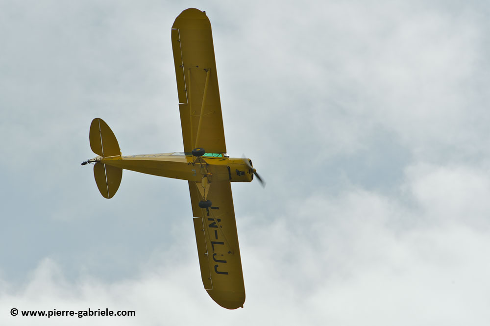 pipercub_8051.jpg