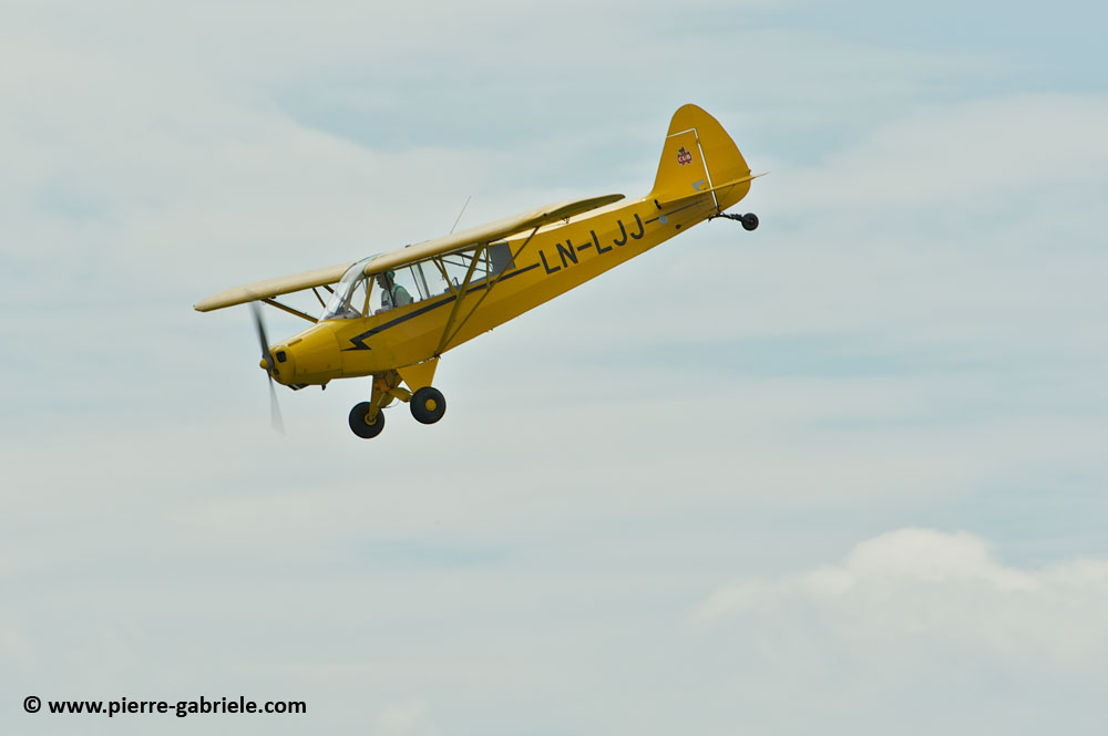 pipercub_8053.jpg