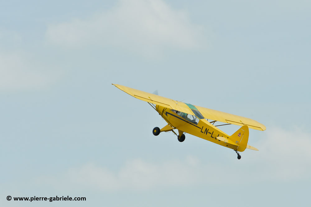 pipercub_8054.jpg