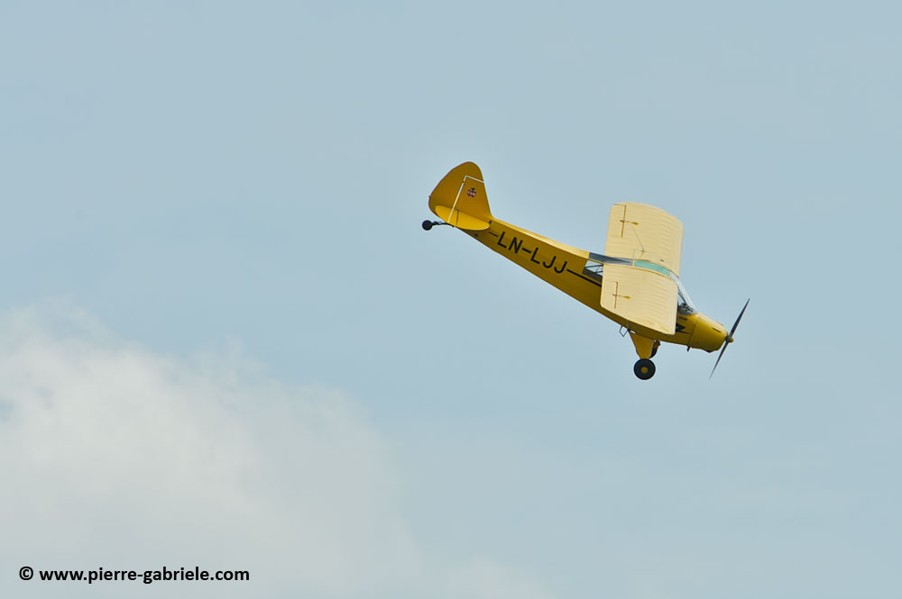 pipercub_8056.jpg