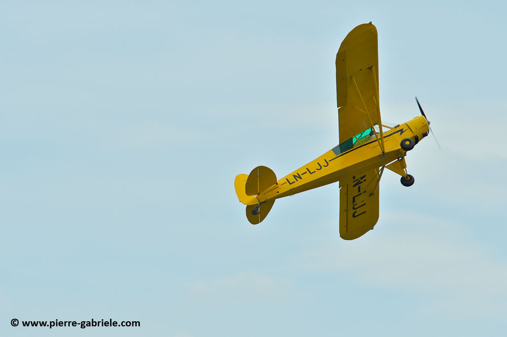 pipercub_8064.jpg