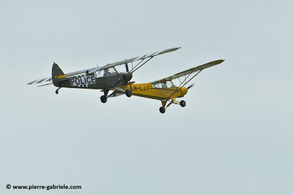 pipercub_8066.jpg