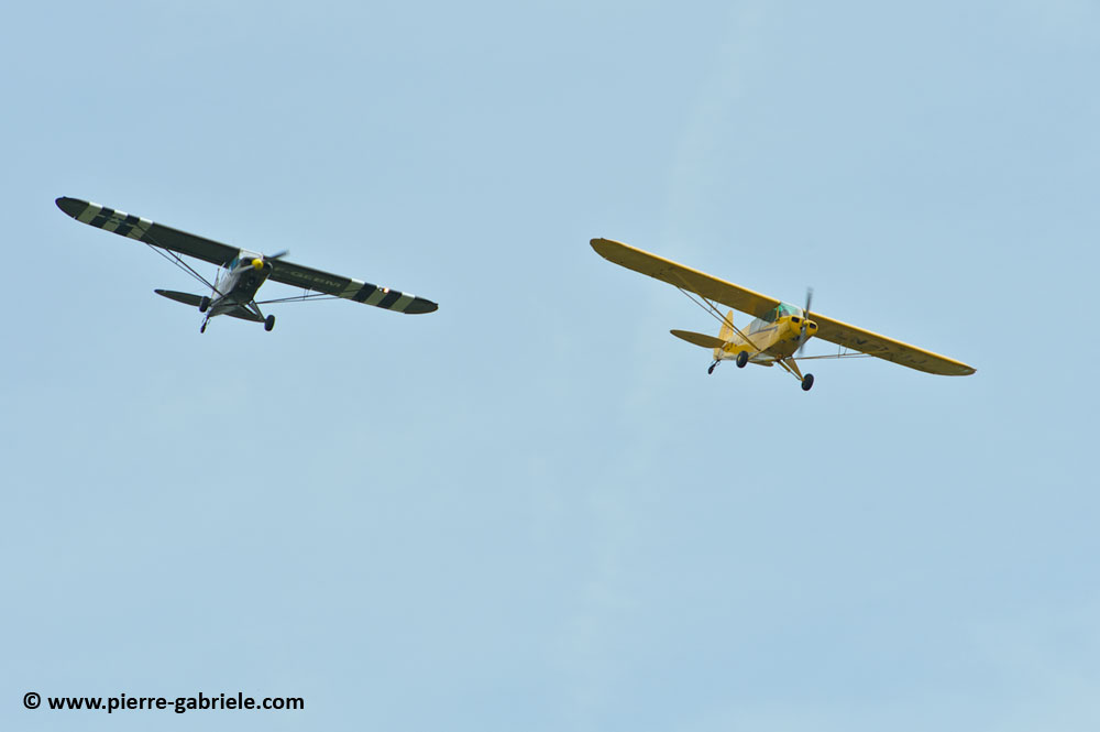 pipercub_8067.jpg