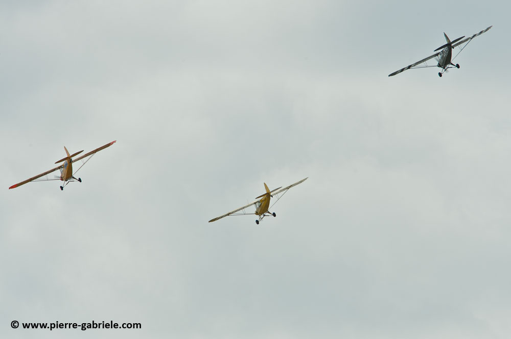 pipercub_8071.jpg