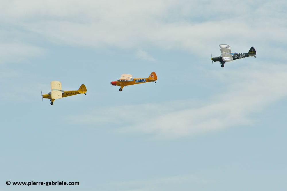 pipercub_8072.jpg