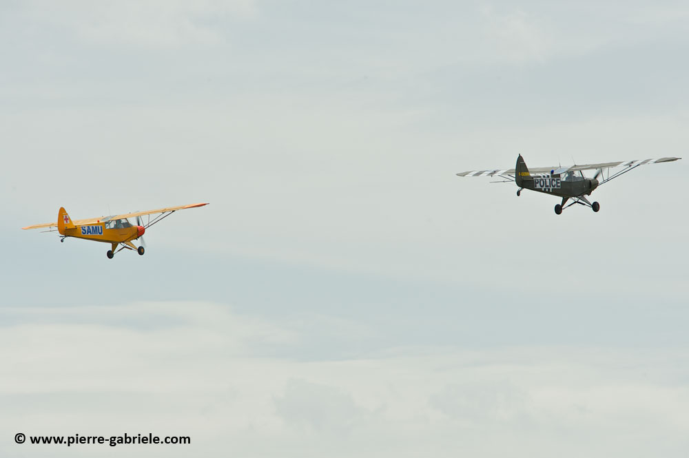 pipercub_8076.jpg