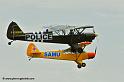 pipercub_8074