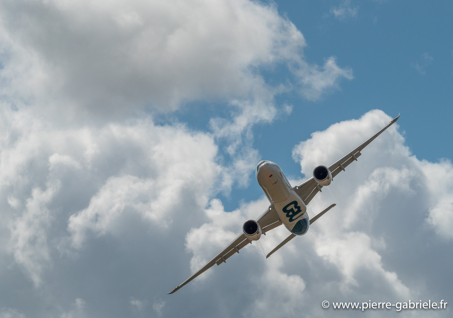 airbus330-g91_5744.jpg