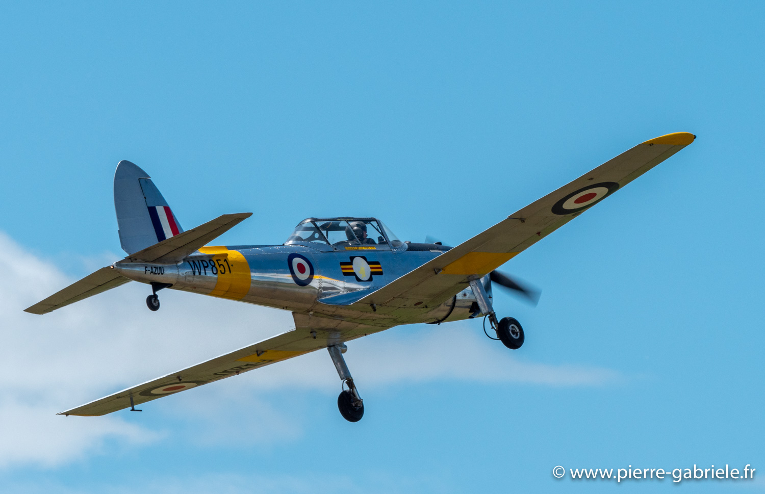 chipmunk-g92_9542.jpg