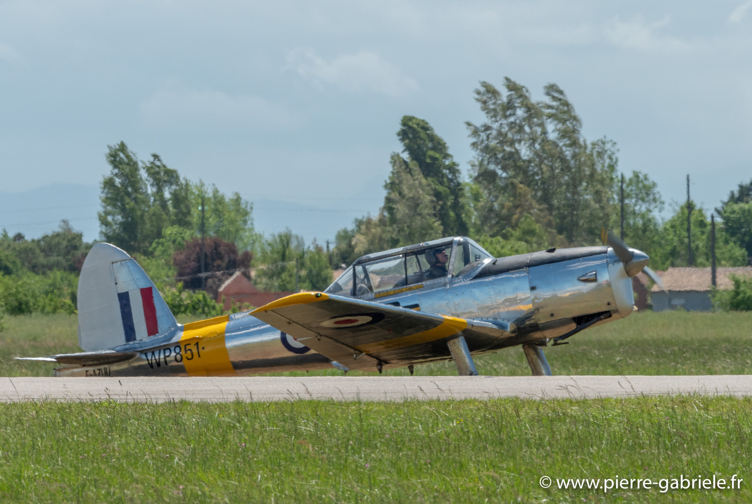 chipmunk-g92_9563.jpg