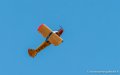 crazy-piper-g92_9654