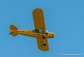 crazy-piper-g92_9655