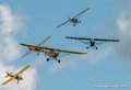 crazy-piper-g92_9660