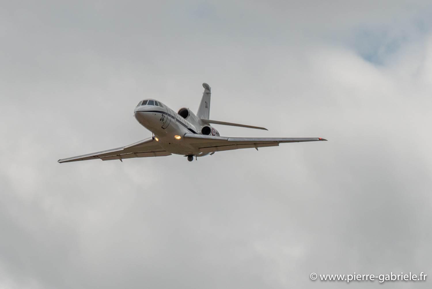 falcon50-g92_9689.jpg