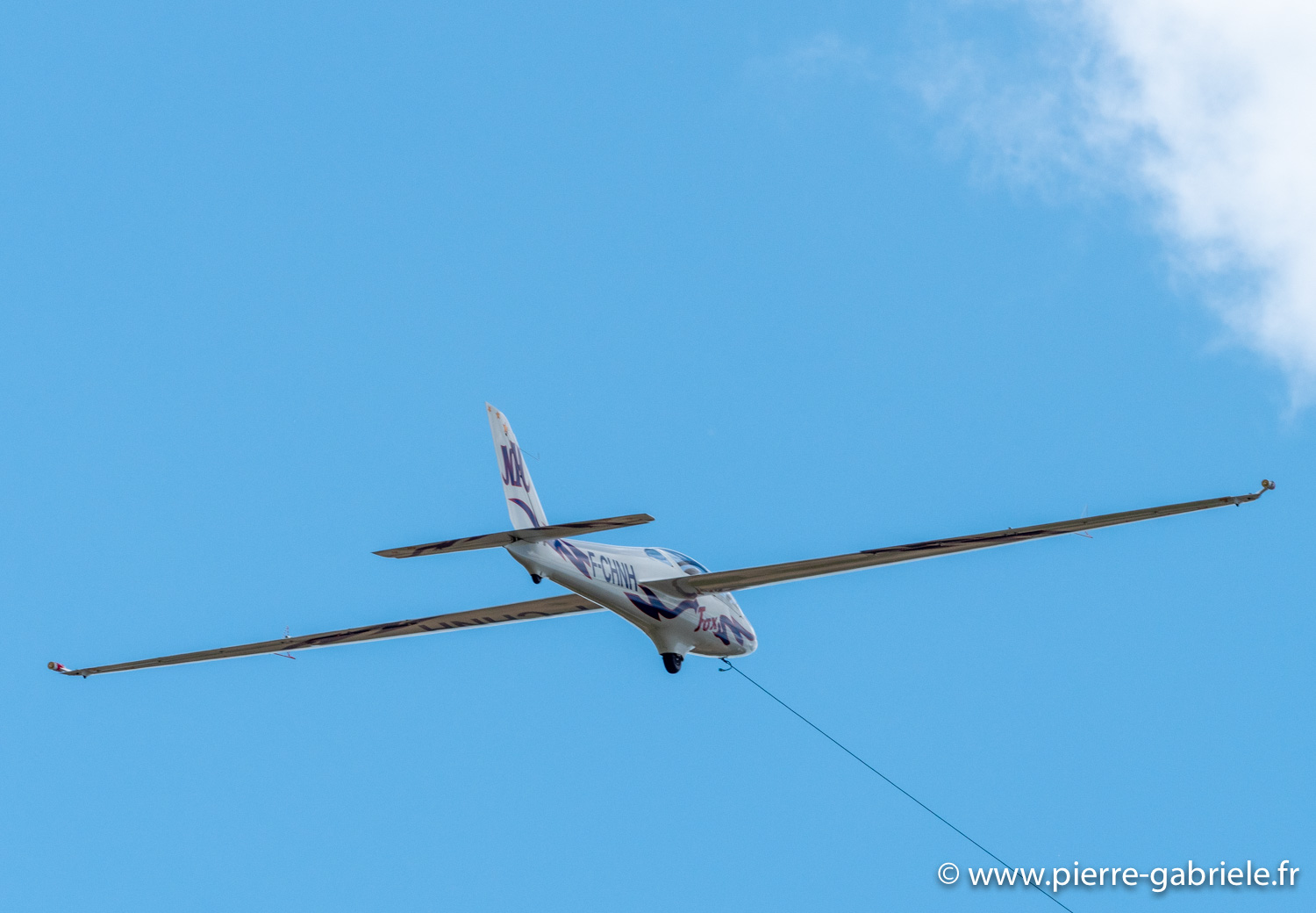 mdm-fox-g92_9631.jpg