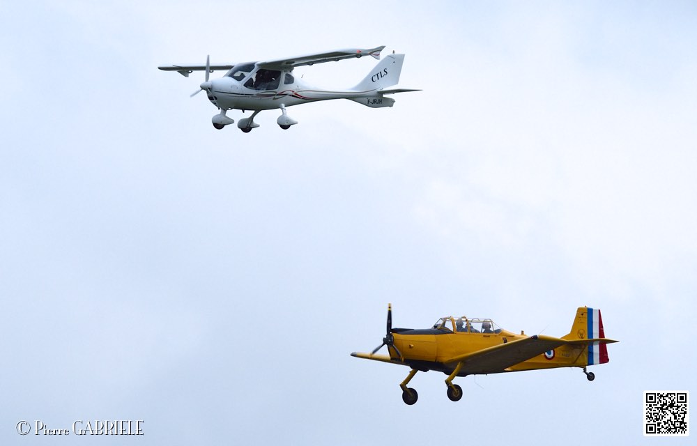 D75_0252.jpg